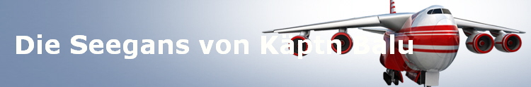 Die Seegans von K�ptn Balu