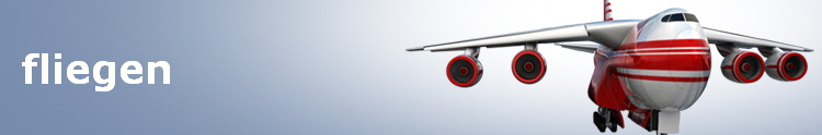 fliegen
