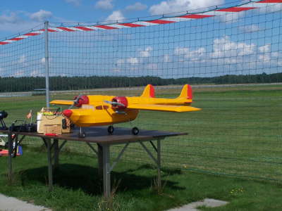 Die Seegans noch ganz :-))